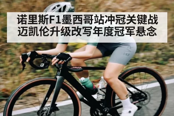 诺里斯F1墨西哥站冲冠关键战 迈凯伦升级改写年度冠军悬念